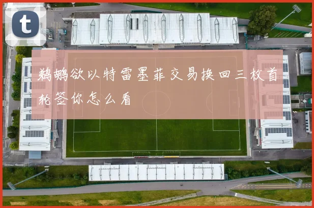鹈鹕欲以特雷墨菲交易换回三枚首轮签你怎么看