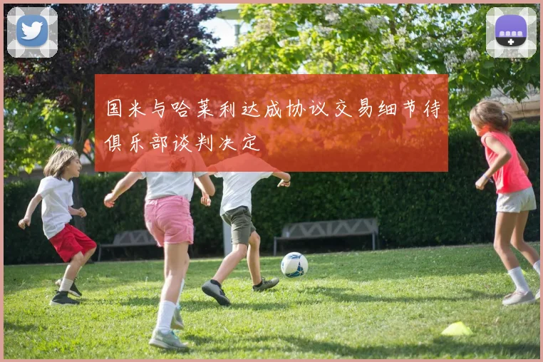 国米与哈莱利达成协议交易细节待俱乐部谈判决定