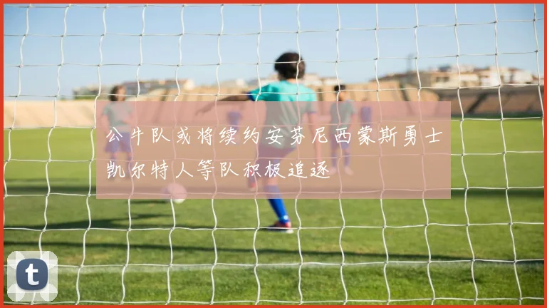 公牛队或将续约安芬尼西蒙斯勇士凯尔特人等队积极追逐